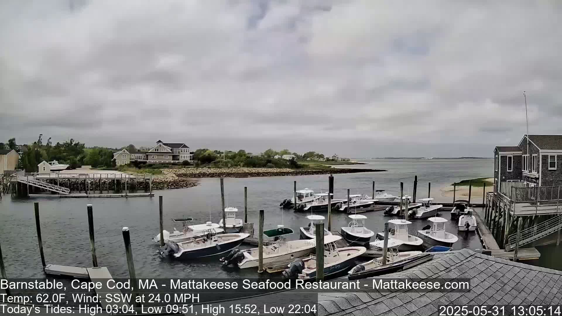 A marina filled with numerous boats is situated on a calm body of water under an overcast sky.