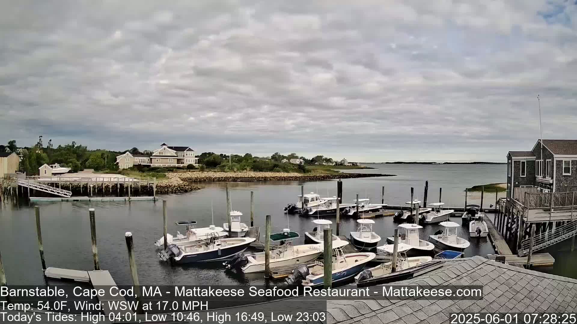 Numerous boats are docked at a marina on a partly cloudy day, with houses and other buildings visible in the background.