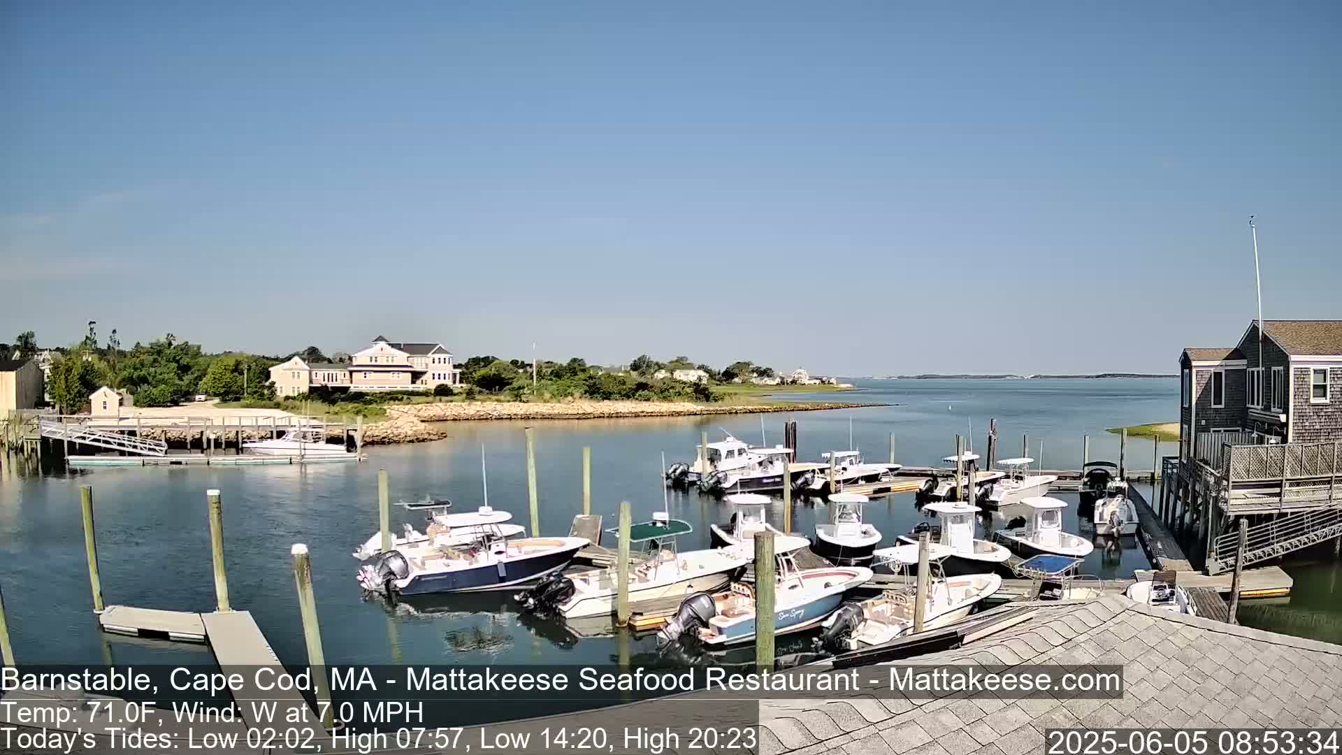 A calm, sunny day at a marina shows numerous boats docked, with houses and trees visible on the shoreline in the background.