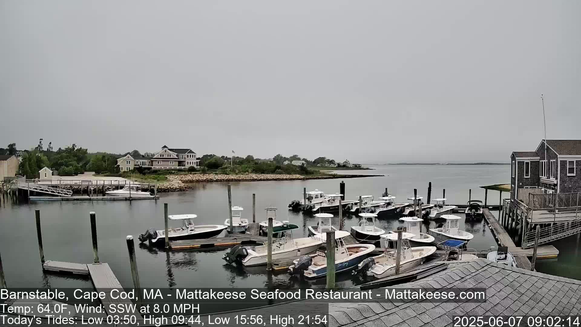 A marina filled with numerous motorboats is situated on calm, gray-water under an overcast sky.