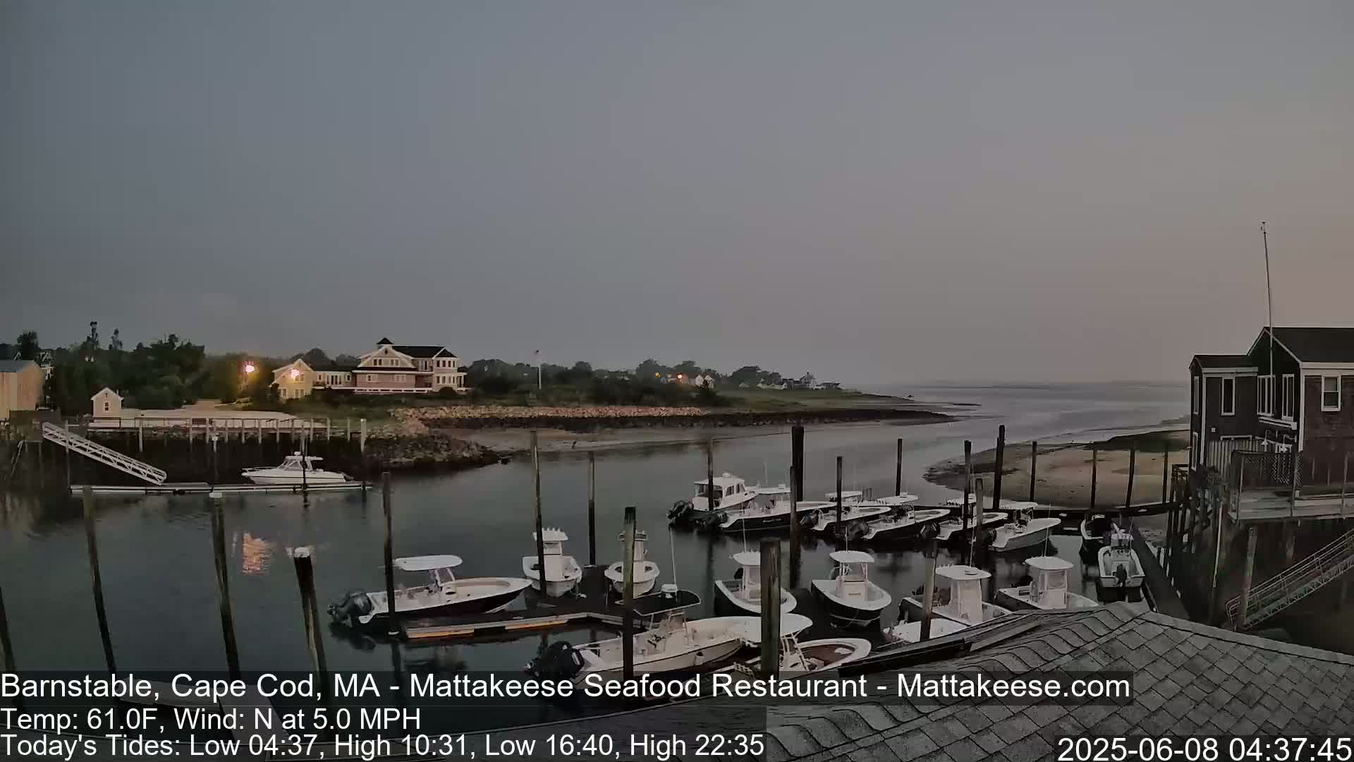 Many boats are docked at a marina on a calm, overcast morning.