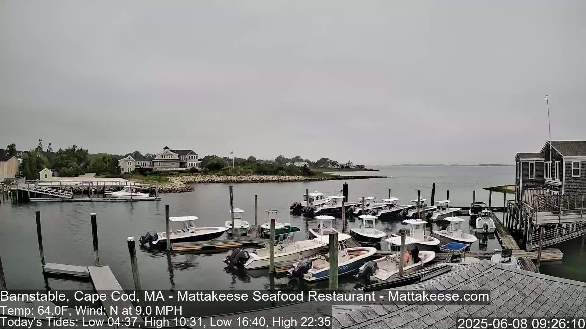 Numerous boats are docked at a marina on a calm, overcast day.