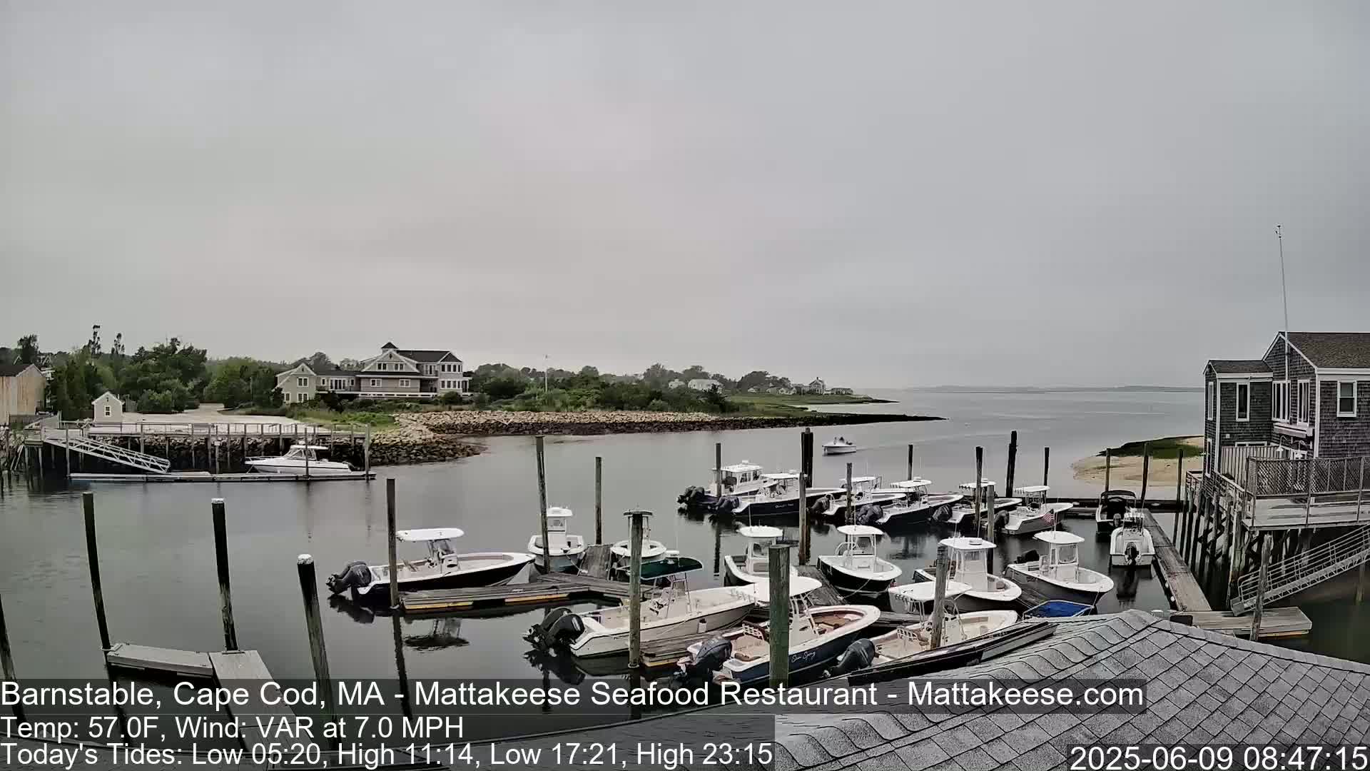 Numerous boats are docked at a marina on an overcast day.
