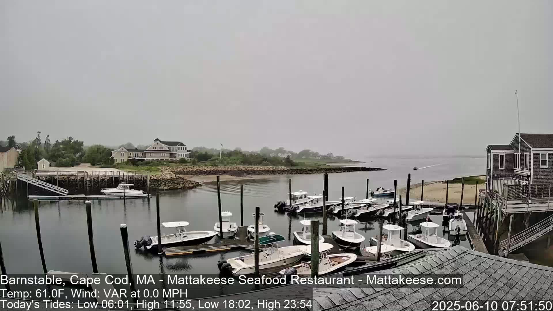 A calm, overcast day shows a harbor filled with numerous small motorboats docked at a waterfront with buildings and houses visible in the background.