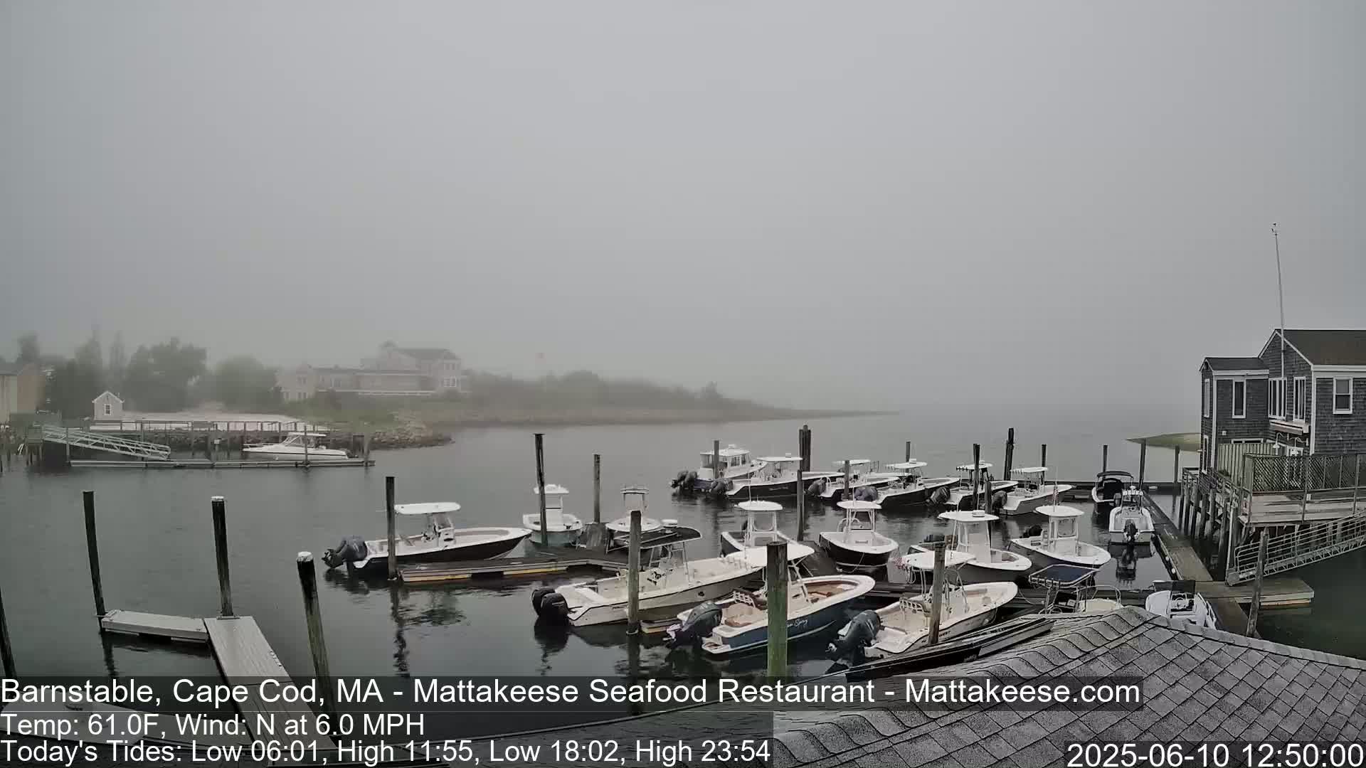 A foggy harbor scene shows numerous boats docked at a pier near buildings.