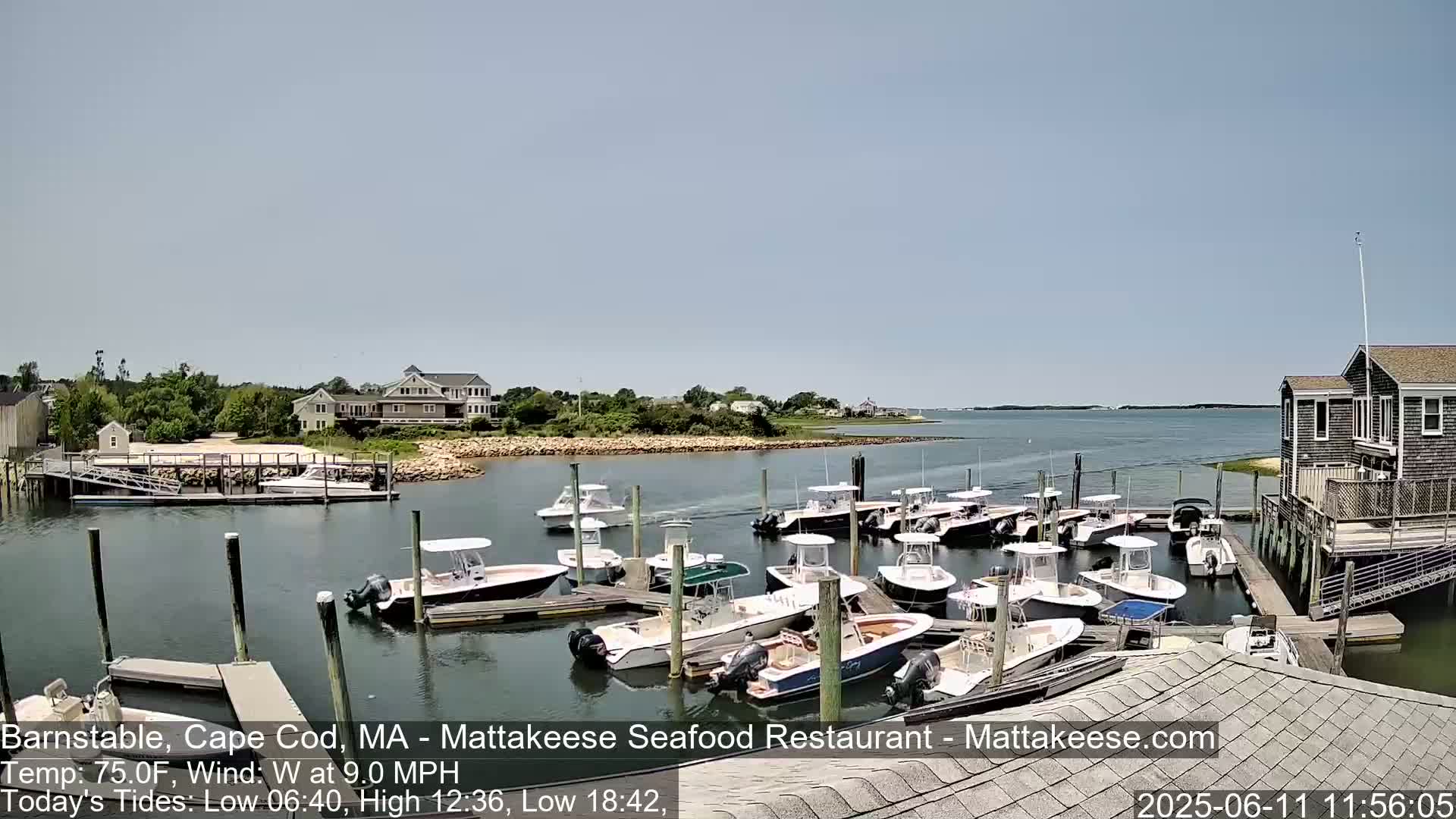 A sunny day shows a marina filled with numerous small motorboats, docked near a calm body of water, with houses visible on the opposite shore.