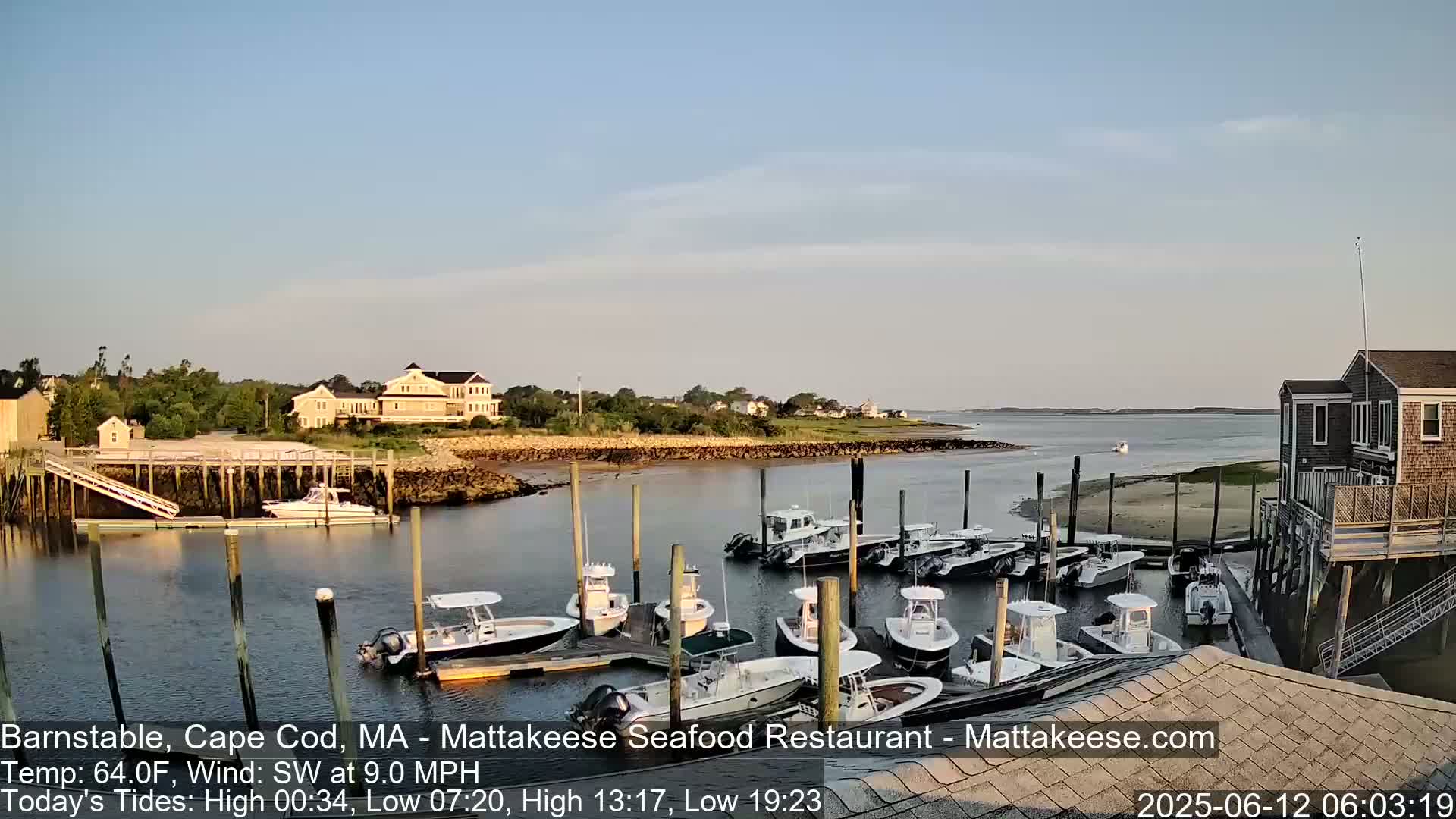 A calm harbor filled with numerous docked motorboats under a clear, light-blue sky.