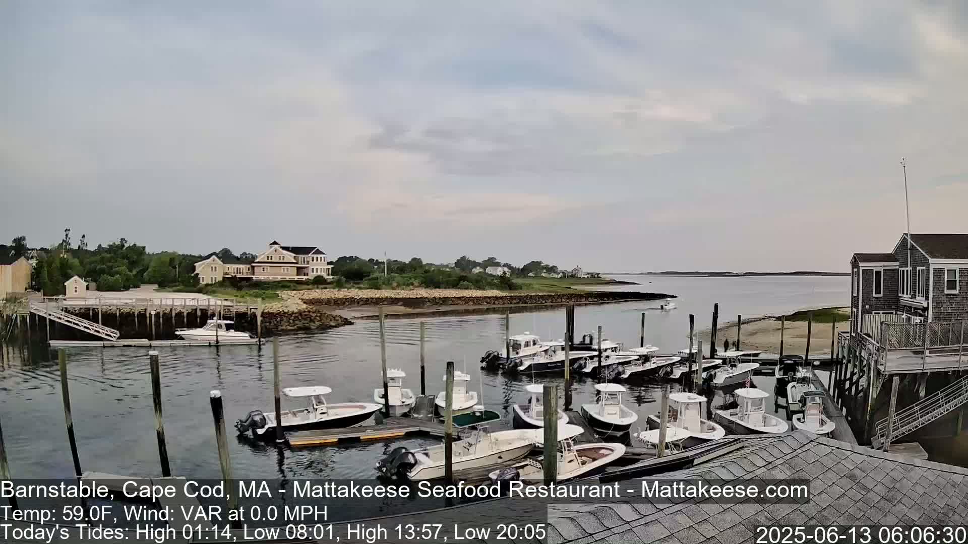 Numerous boats are docked in a calm harbor next to a residential area under an overcast sky.