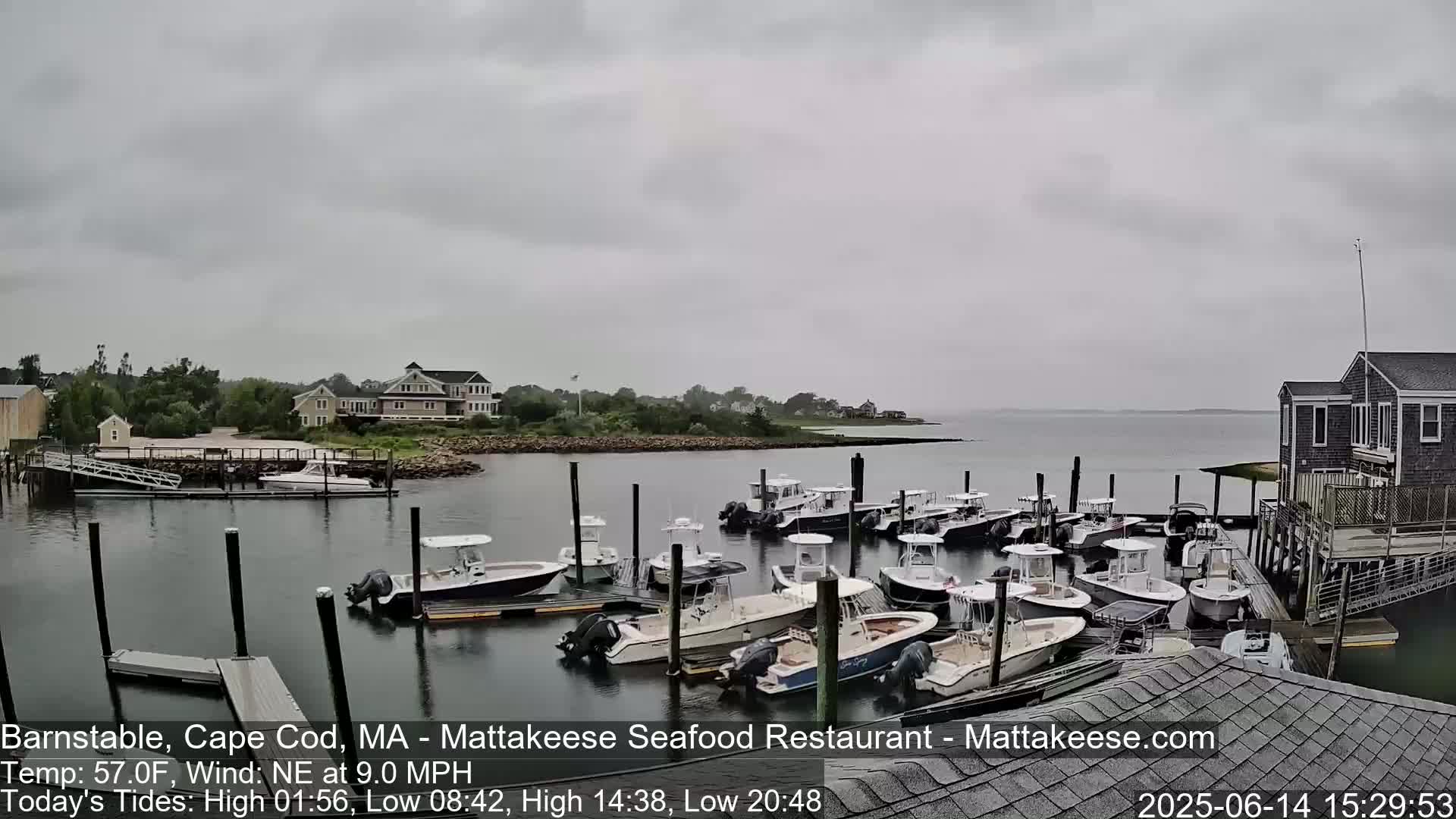 Many small motorboats are docked at a marina on a partly cloudy day, with houses and calm water visible in the background.
