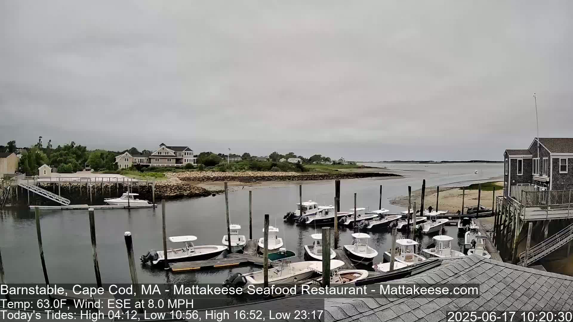 Numerous boats are docked at a marina on a cloudy day, with buildings and houses visible in the background.