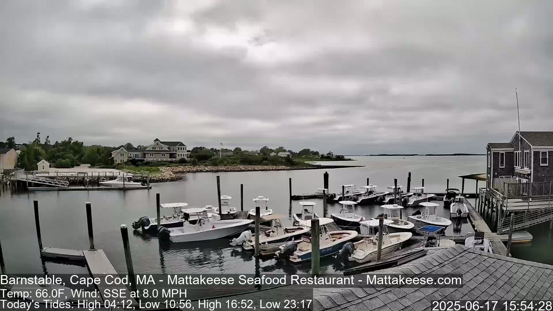 A calm body of water with numerous boats docked at a marina, under an overcast sky.
