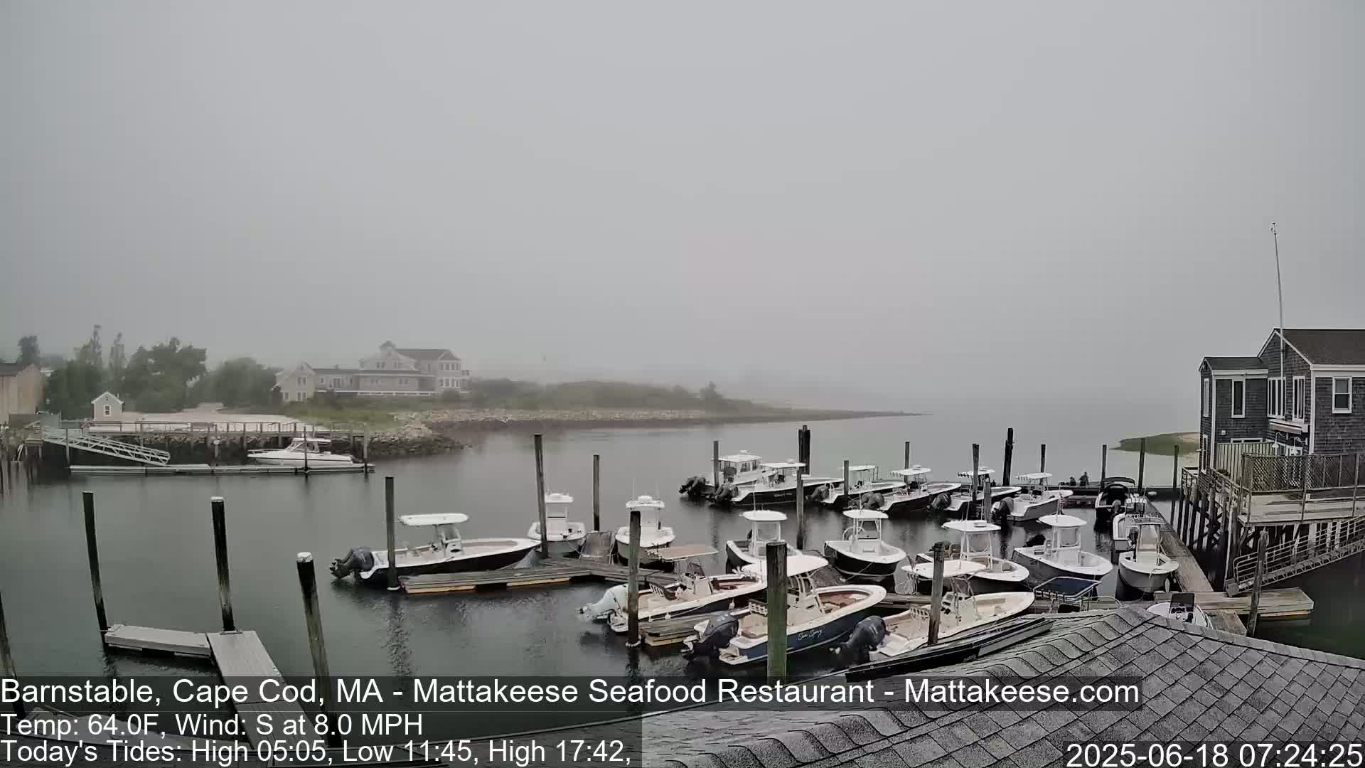 A foggy harbor scene shows numerous boats docked at a pier, with buildings and trees visible in the background.
