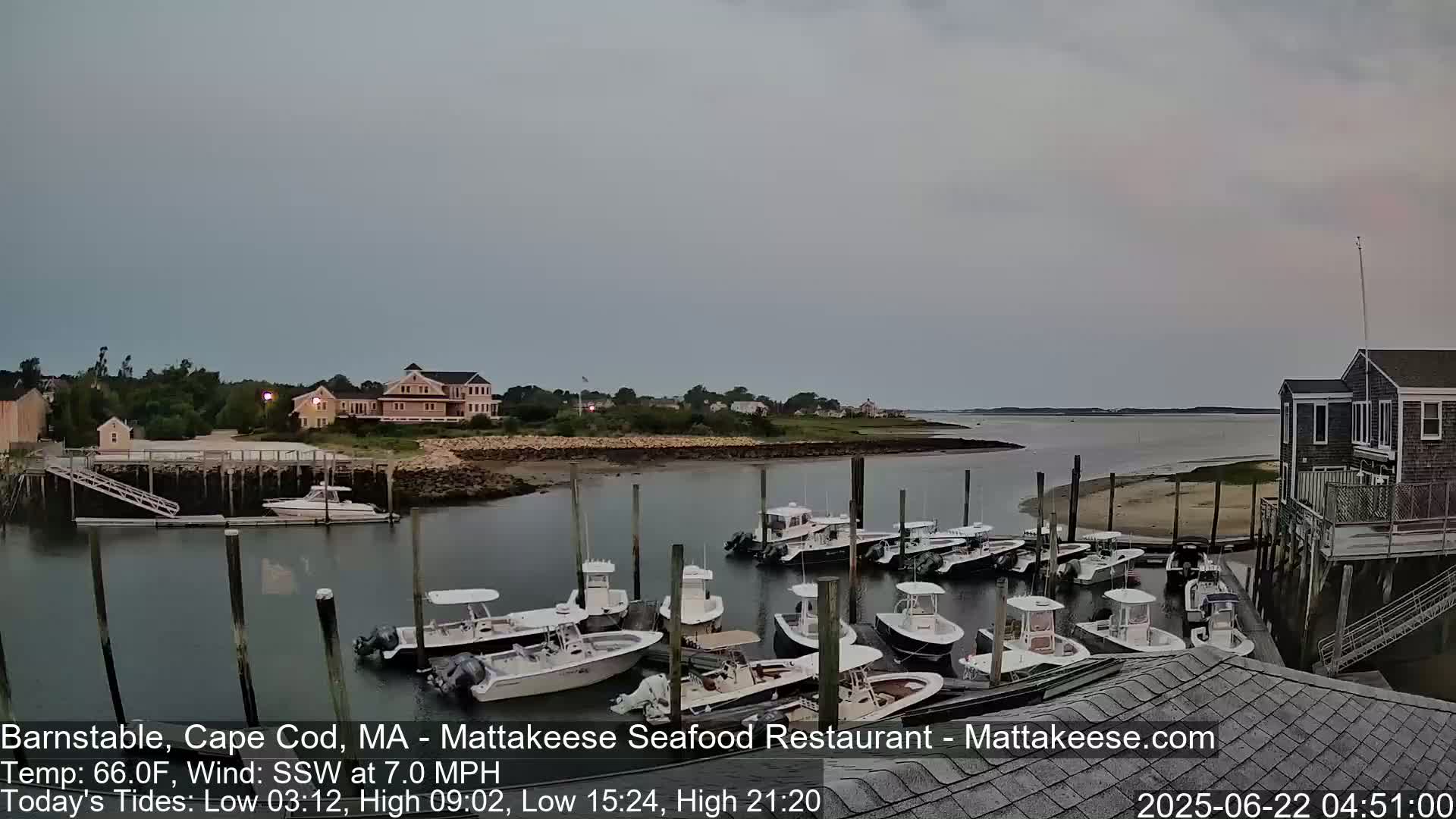 Several boats are docked at a marina near a calm body of water under an overcast sky.