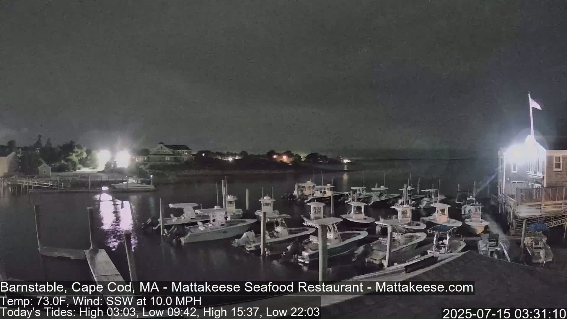 A nighttime view of a harbor filled with numerous docked boats under a dark, overcast sky.