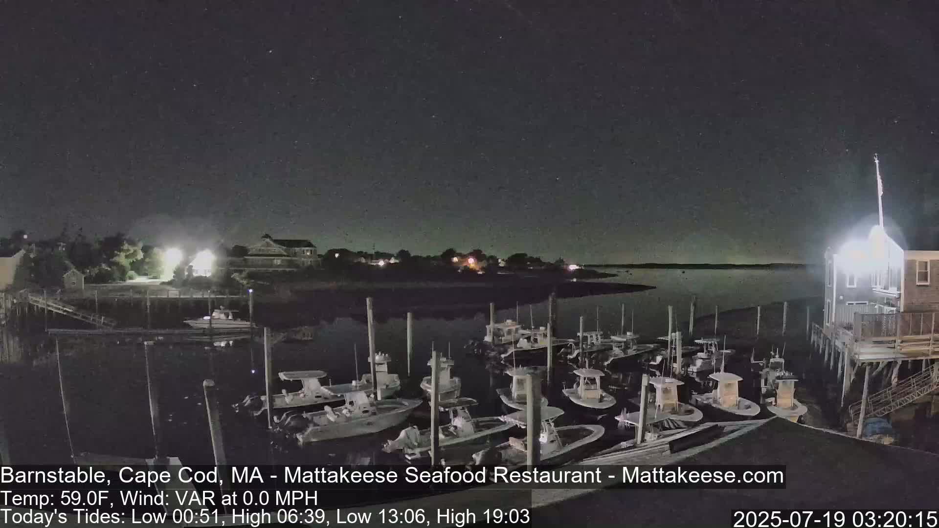 A nighttime view of a harbor filled with docked boats under a clear, starry sky.