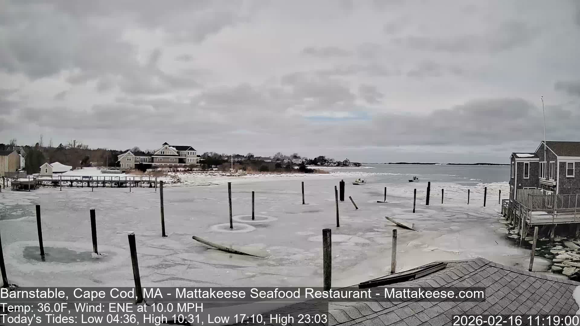 Cape Cod Live Cam - Barnstable, Massachusetts, USA