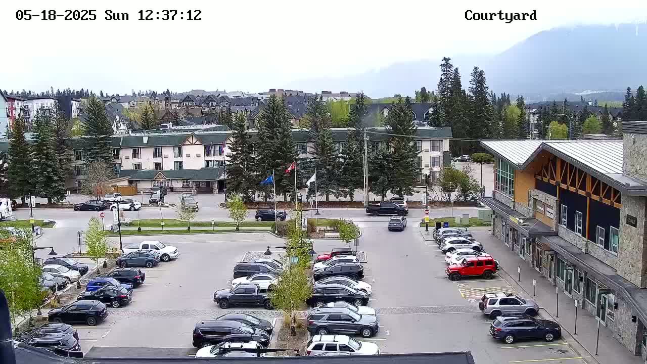 A mostly sunny parking lot with numerous cars, surrounded by buildings and trees, with mountains visible in the background.
