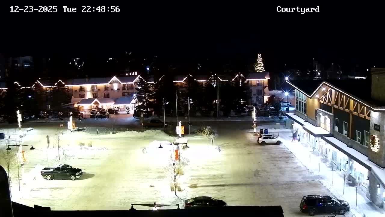 A wet, nighttime parking lot with several cars parked, next to a multi-story building and some trees.