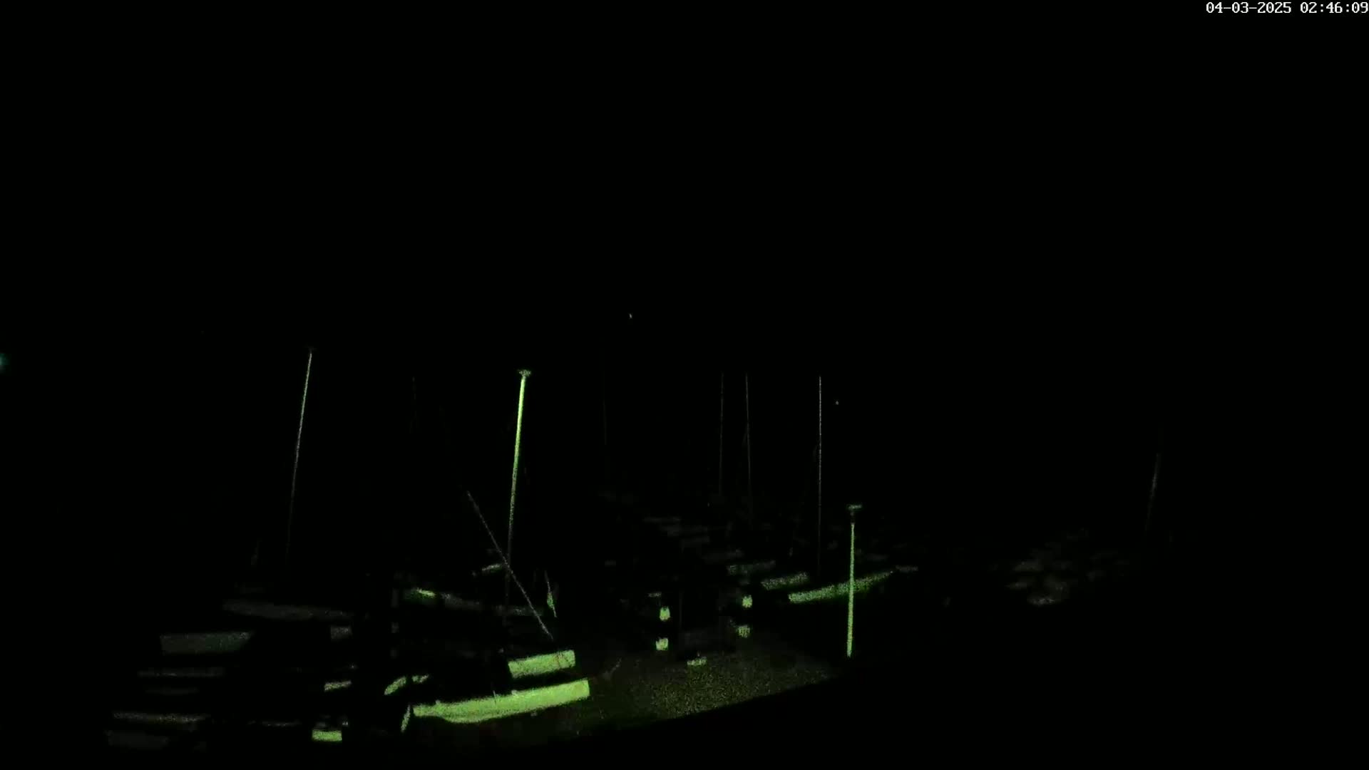 A nighttime, low-light image shows numerous boats docked at a marina, their masts faintly visible against a dark sky.