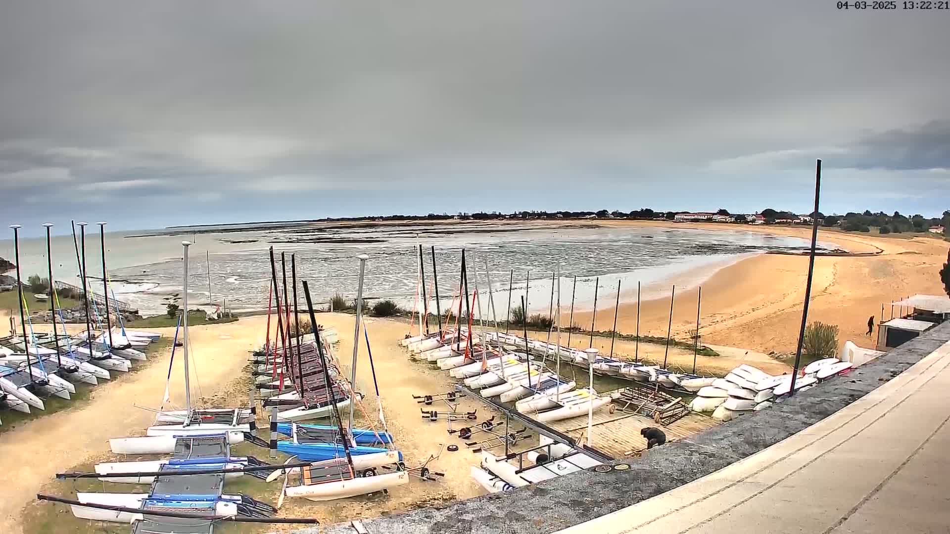 Numerous sailboats are parked on a sandy area next to a calm, shallow body of water under an overcast sky.