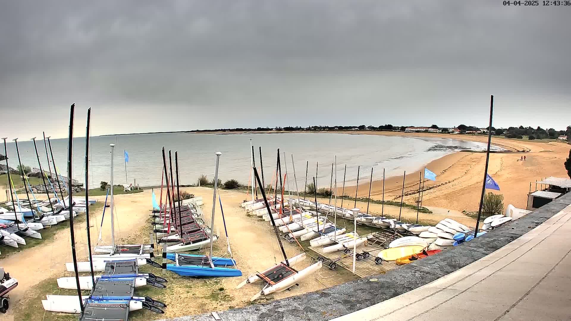 Many sailboats are parked on a sandy lot overlooking a calm bay on an overcast day.