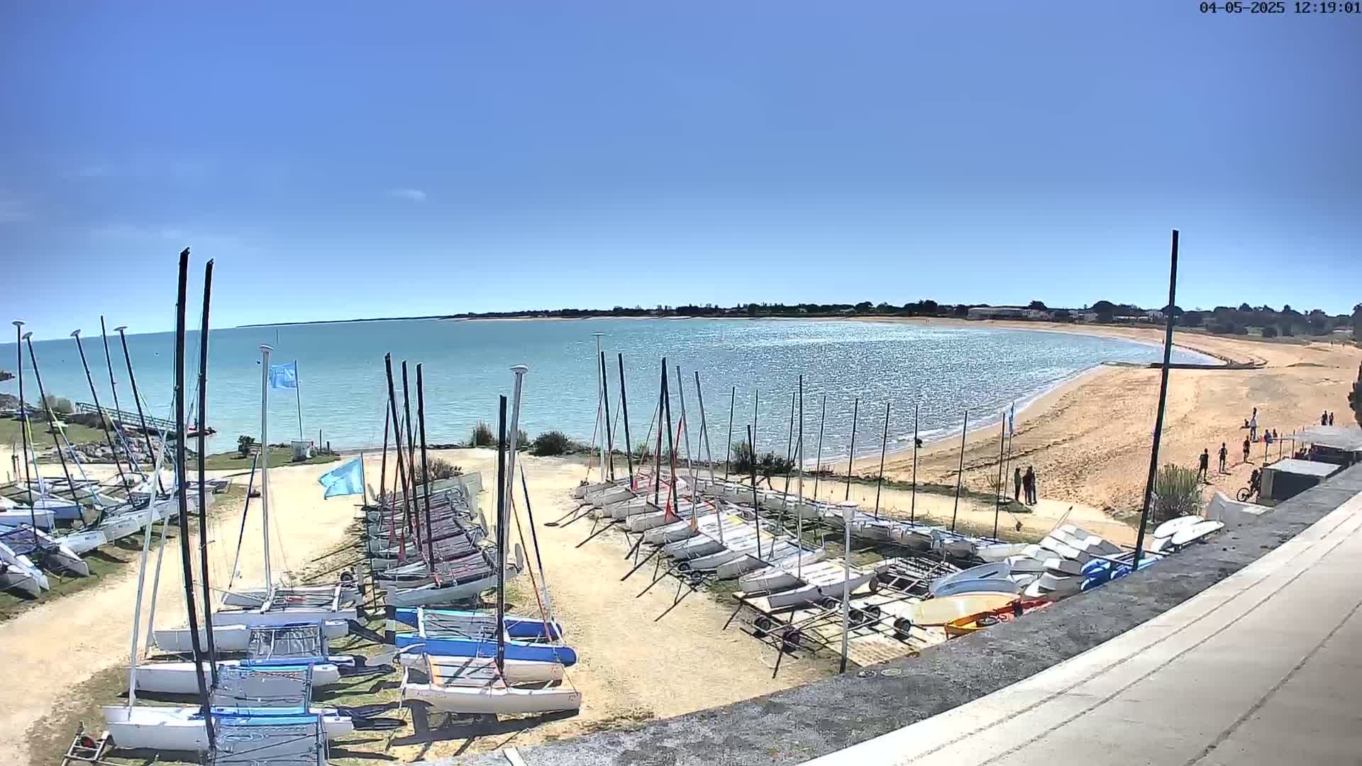 Under a clear blue sky, numerous sailboats are stored on a sandy area next to a calm body of water with a sandy beach.