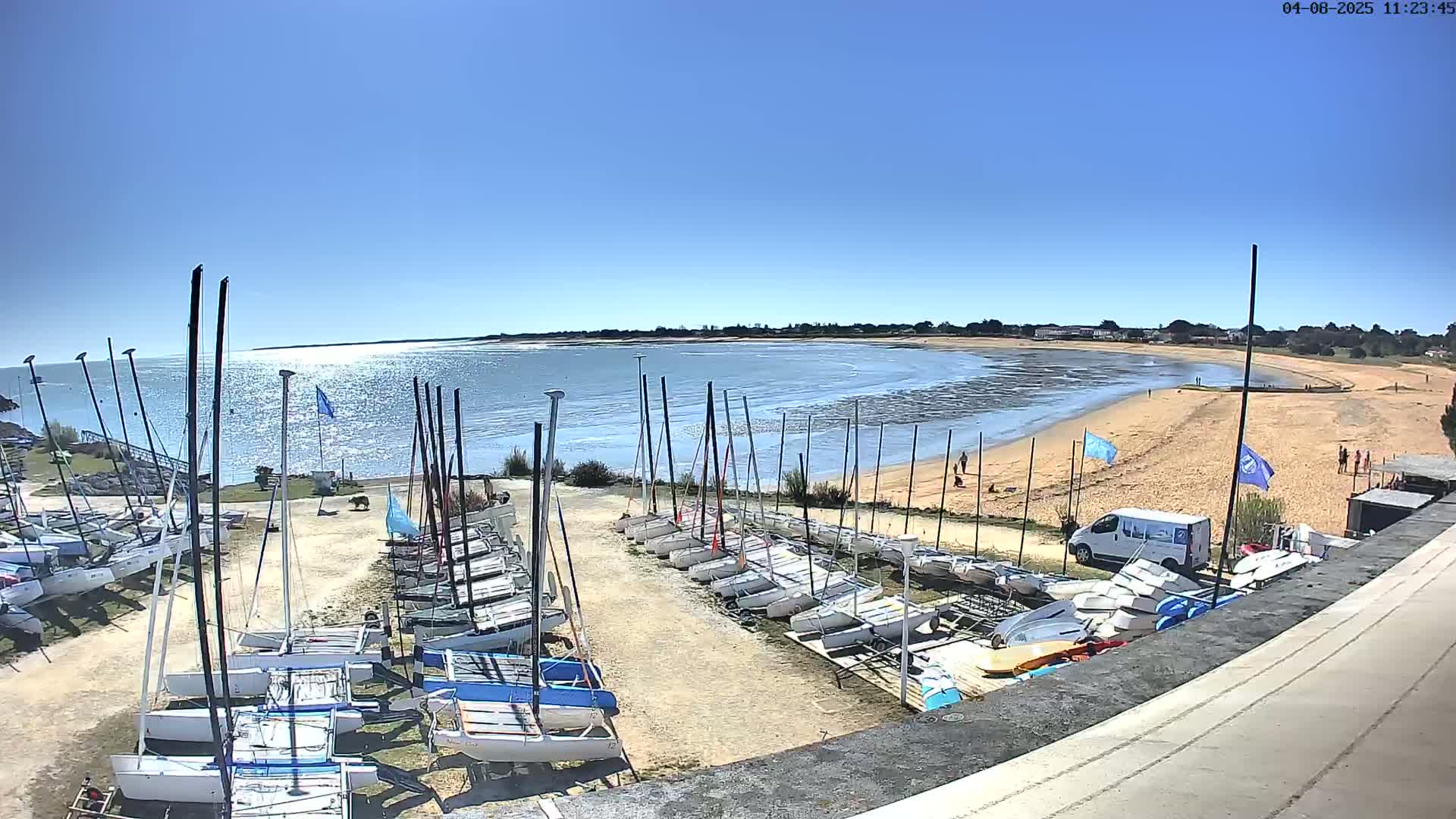 A sunny day at a harbor shows numerous sailboats docked on land next to a calm body of water with a sandy beach.