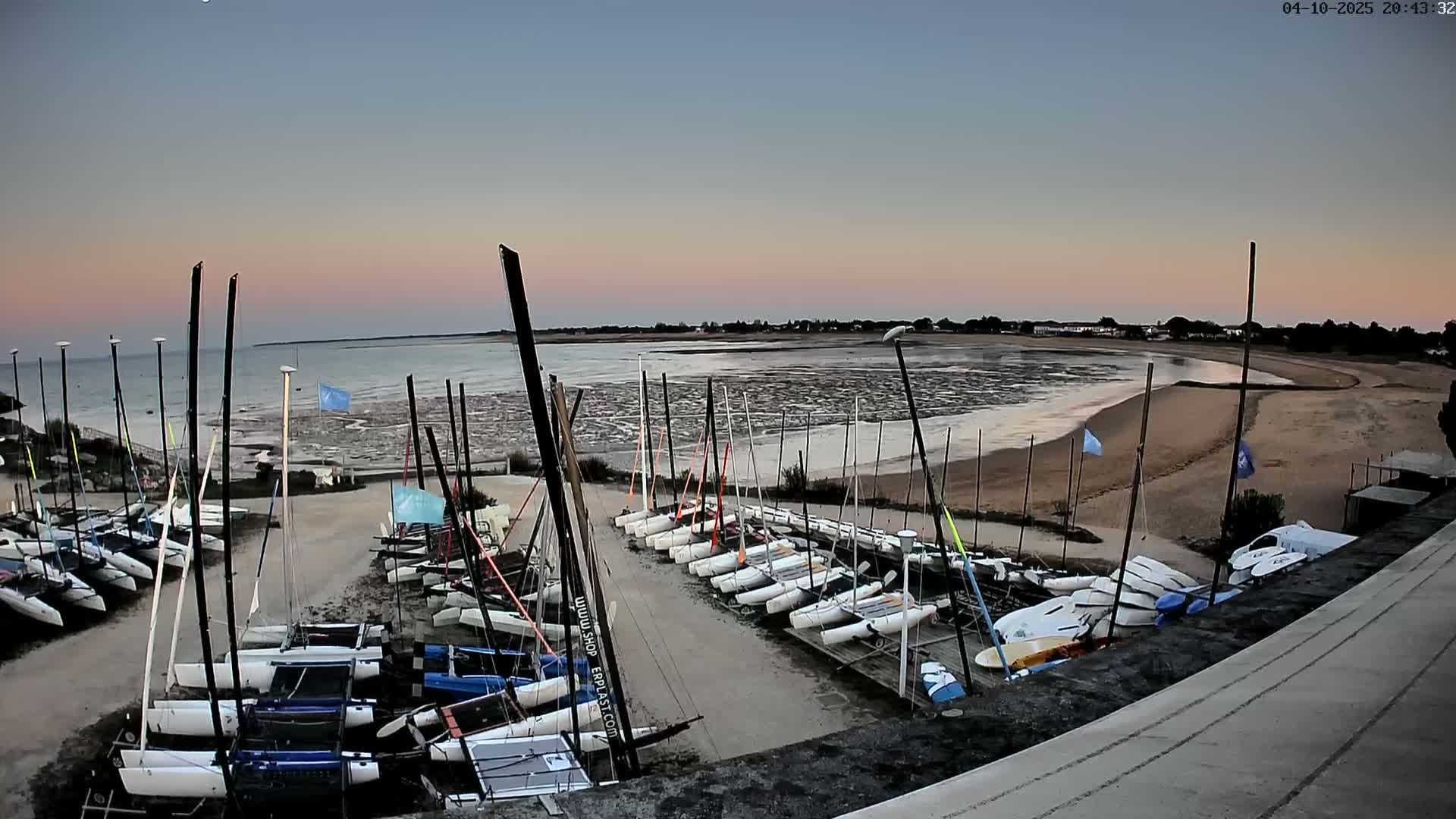 Many sailboats are docked on a sandy shore at dusk, with a calm body of water extending to a flat, distant shoreline under a clear sky.