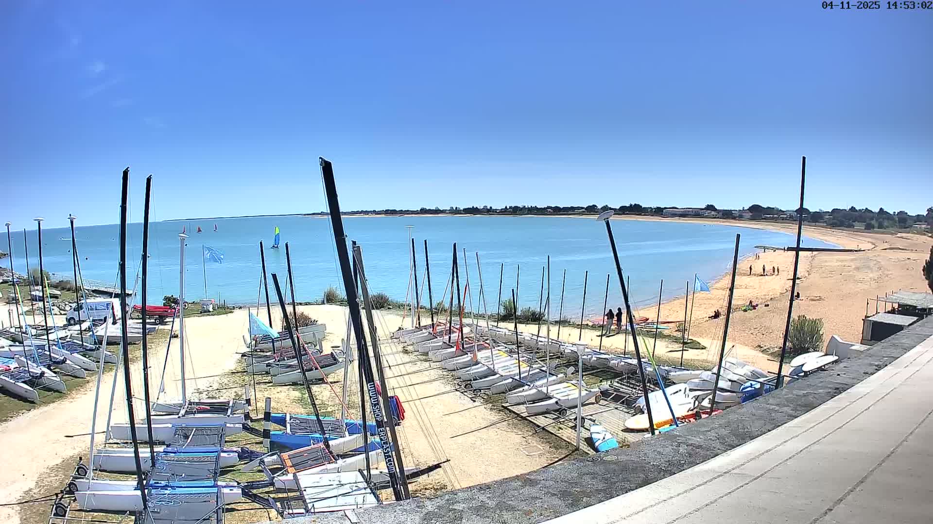 Many sailboats are docked on a sandy shore next to calm, light-blue water under a clear blue sky.