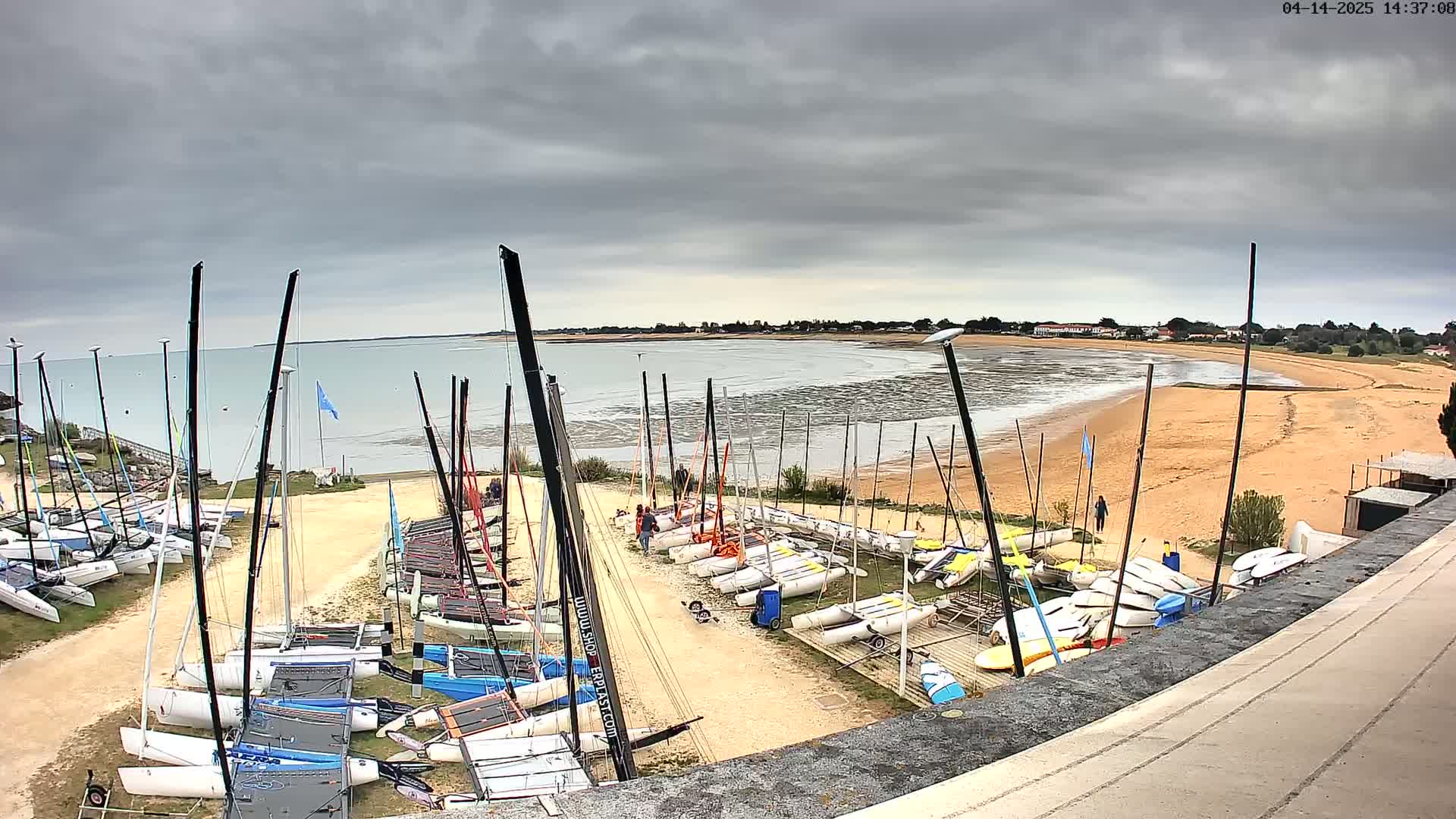 Numerous sailboats are beached on a sandy shore next to calm, shallow water under an overcast sky.