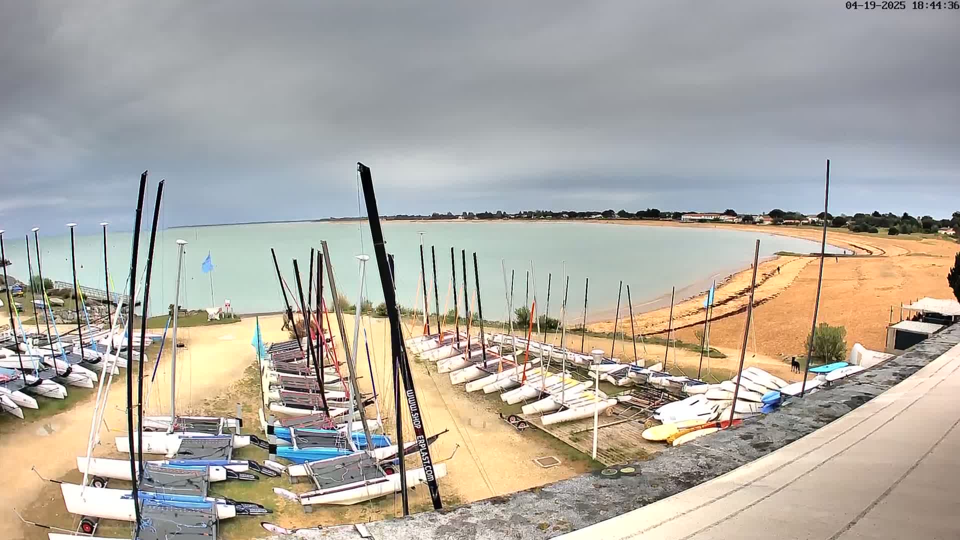 Many sailboats are docked on a sandy shore next to a calm, light-green body of water under an overcast sky.