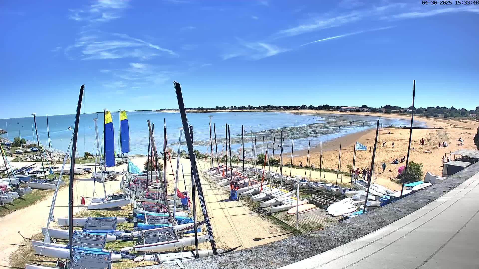 Numerous sailboats are docked on a sandy shore next to a calm body of water under a clear blue sky.