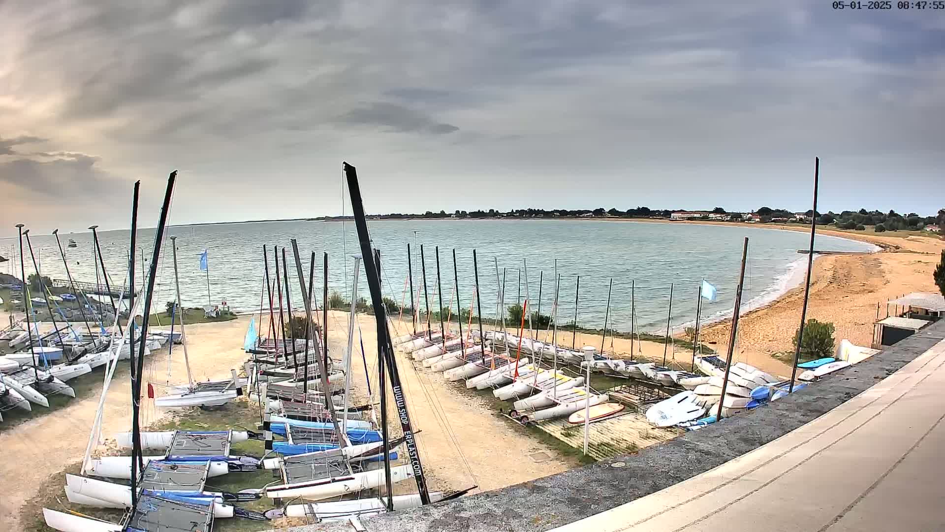 Numerous sailboats are docked on a sandy shore next to a calm body of water under an overcast sky.
