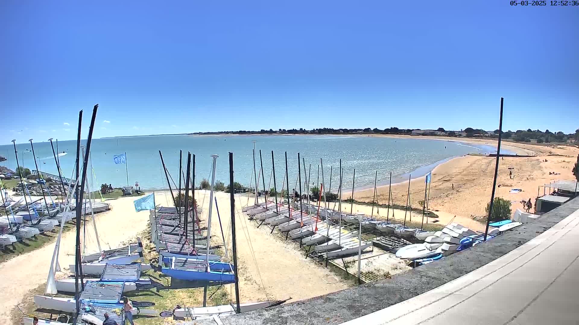 Many sailboats are stored on a sandy area next to a calm, light-blue body of water under a clear, bright-blue sky.