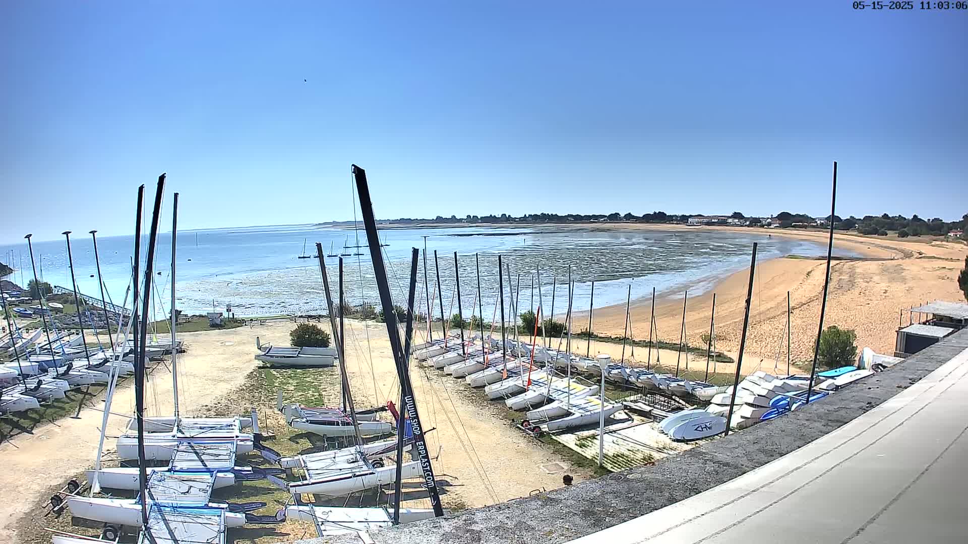 Numerous sailboats are docked on a sandy shore next to calm, shallow water under a clear blue sky.