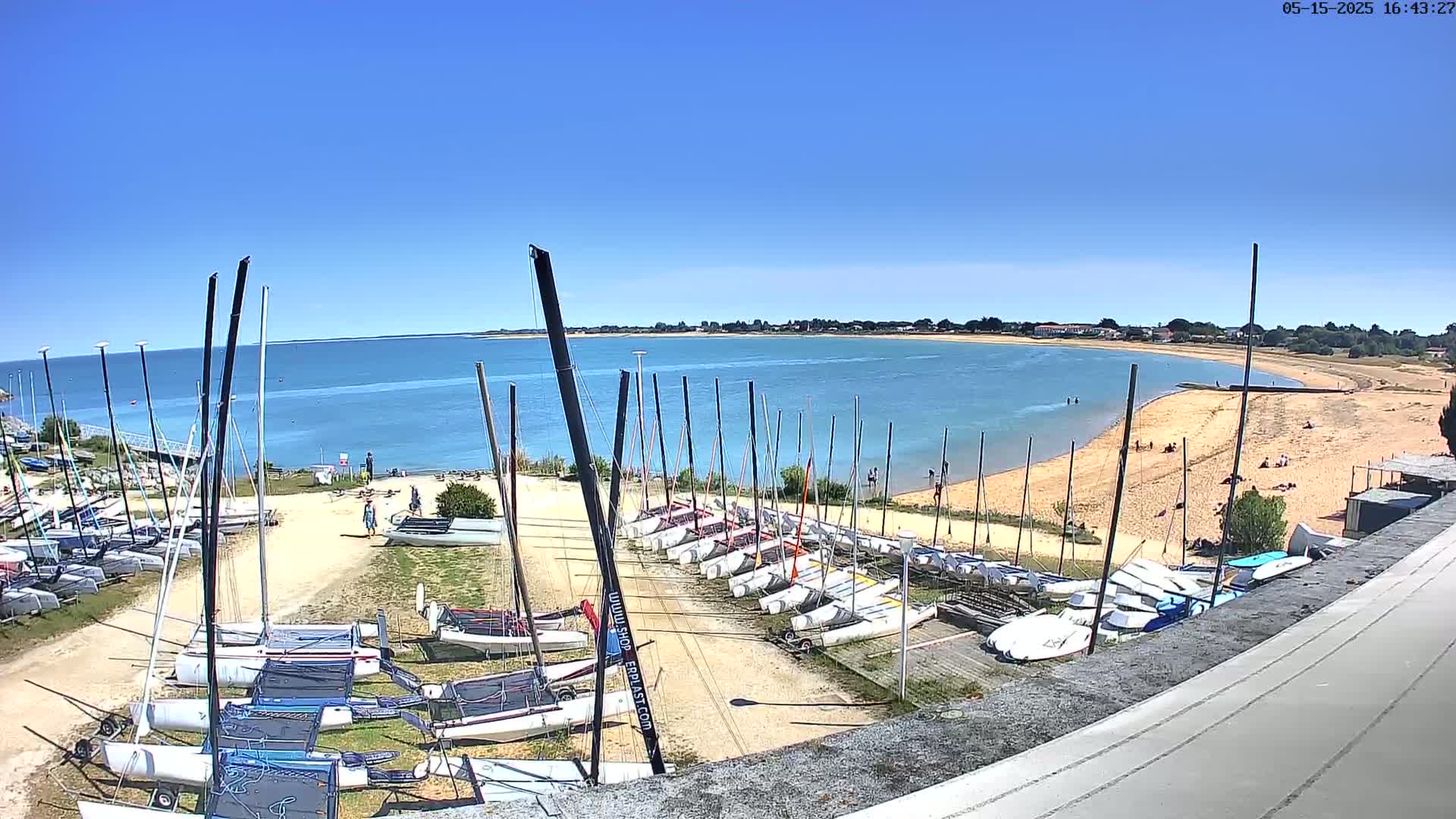 Many sailboats are docked on a sandy shore next to a calm, blue body of water under a clear, sunny sky.