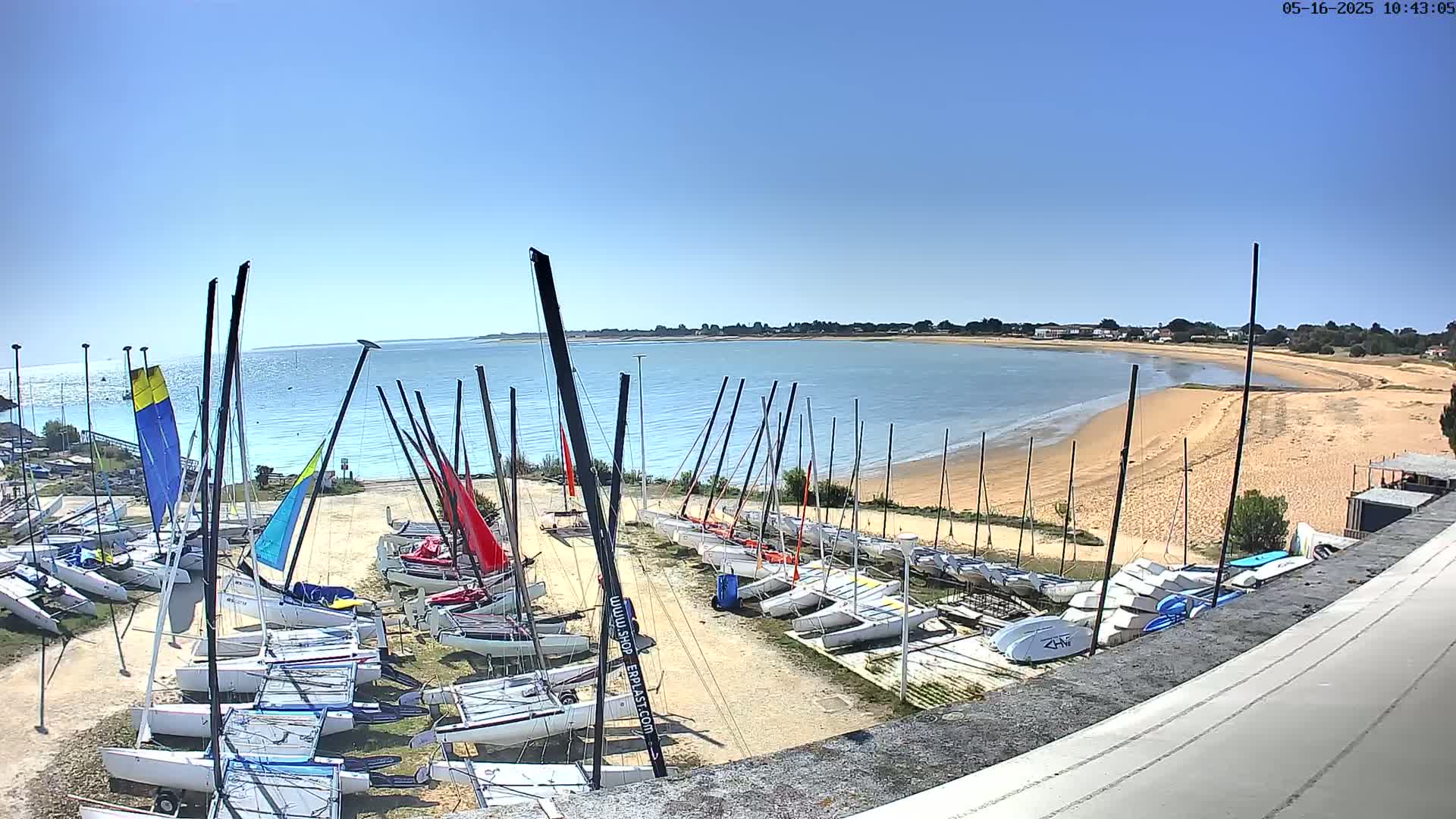 Numerous sailboats are parked on a sandy shore next to calm, blue water under a clear, sunny sky.