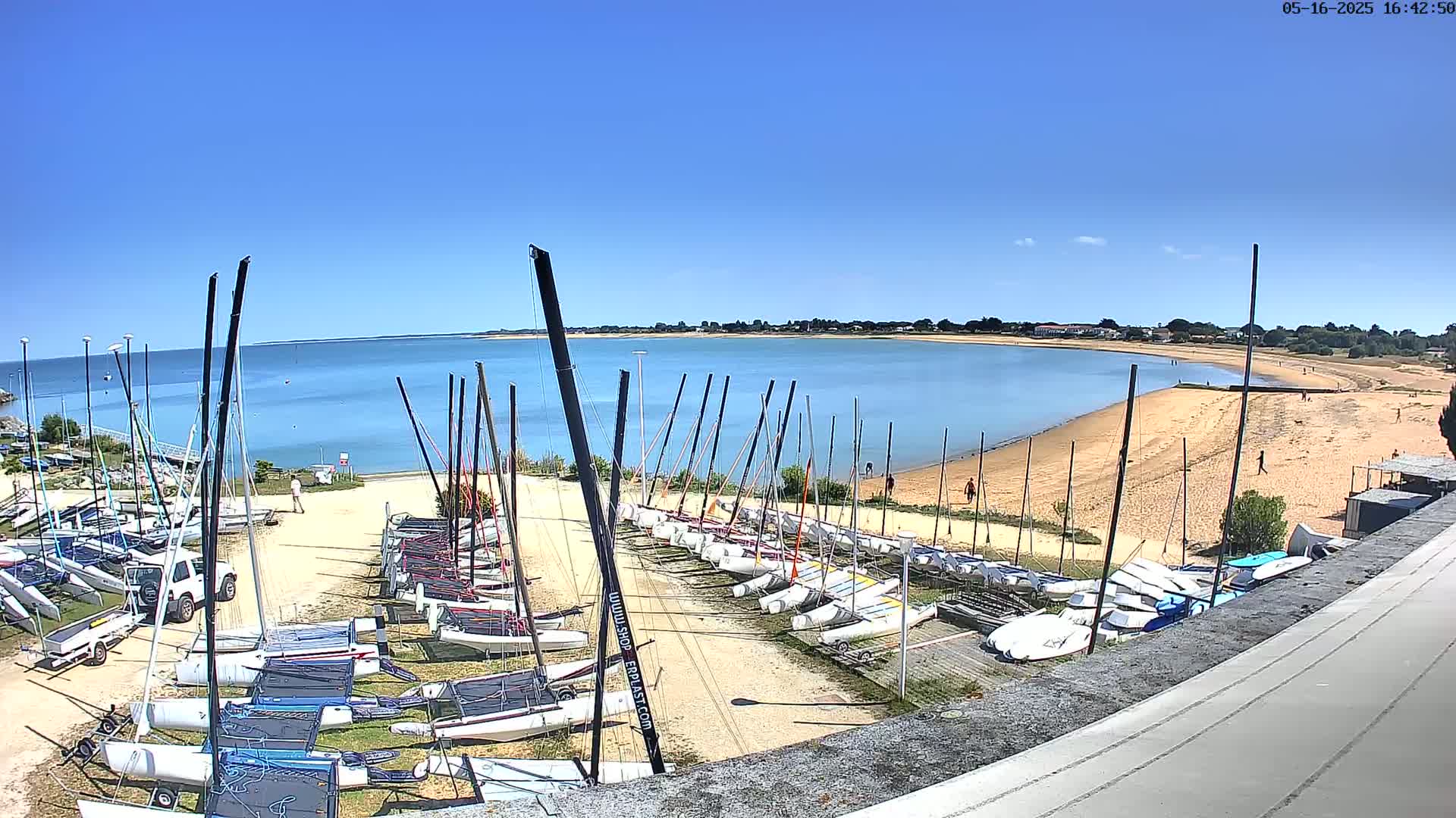 Numerous sailboats are parked on a sandy beach next to a calm body of water under a clear blue sky.