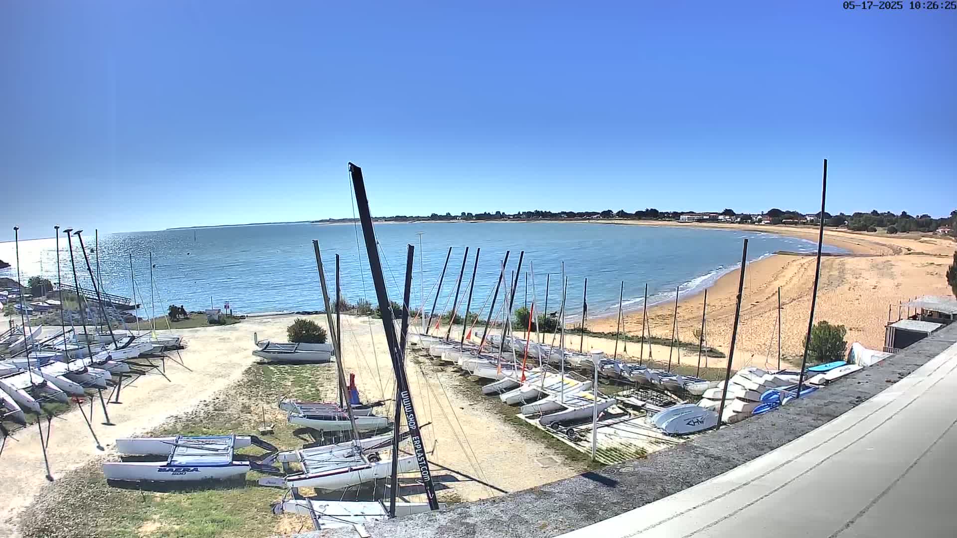 Numerous sailboats are stored on a sandy area next to a calm body of water under a clear blue sky.