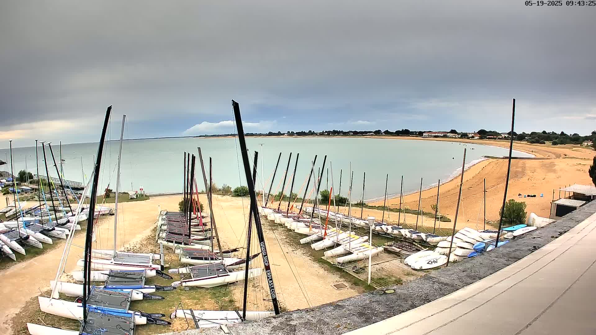Numerous sailboats are stored on a sandy area next to a calm body of water under an overcast sky.