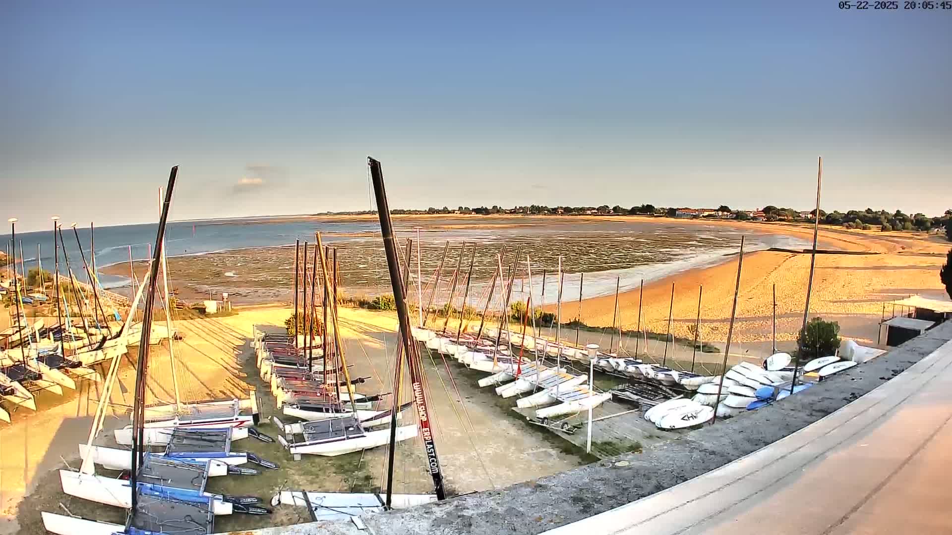 Numerous sailboats are docked on a sandy shore near a calm body of water under a clear, sunny sky.