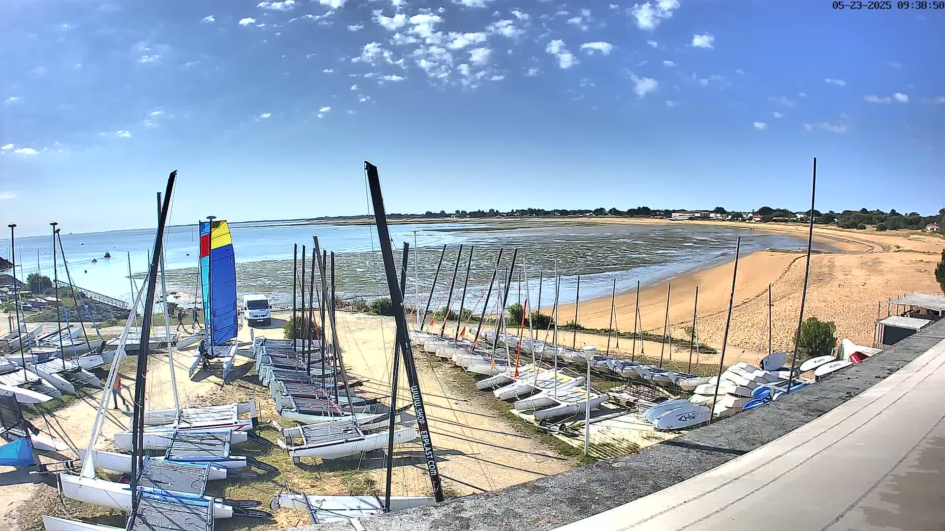 Numerous sailboats are docked on a sandy shore next to calm, shallow water under a mostly sunny sky.