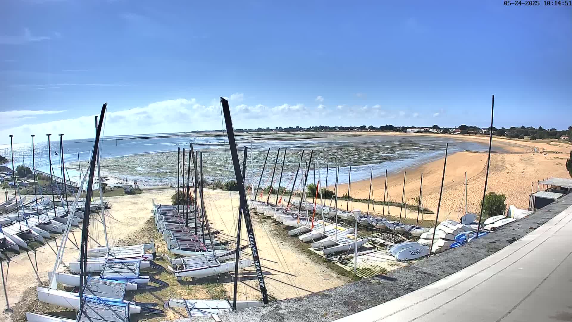 Many sailboats are docked on a sandy shore next to calm, shallow water under a mostly sunny sky.