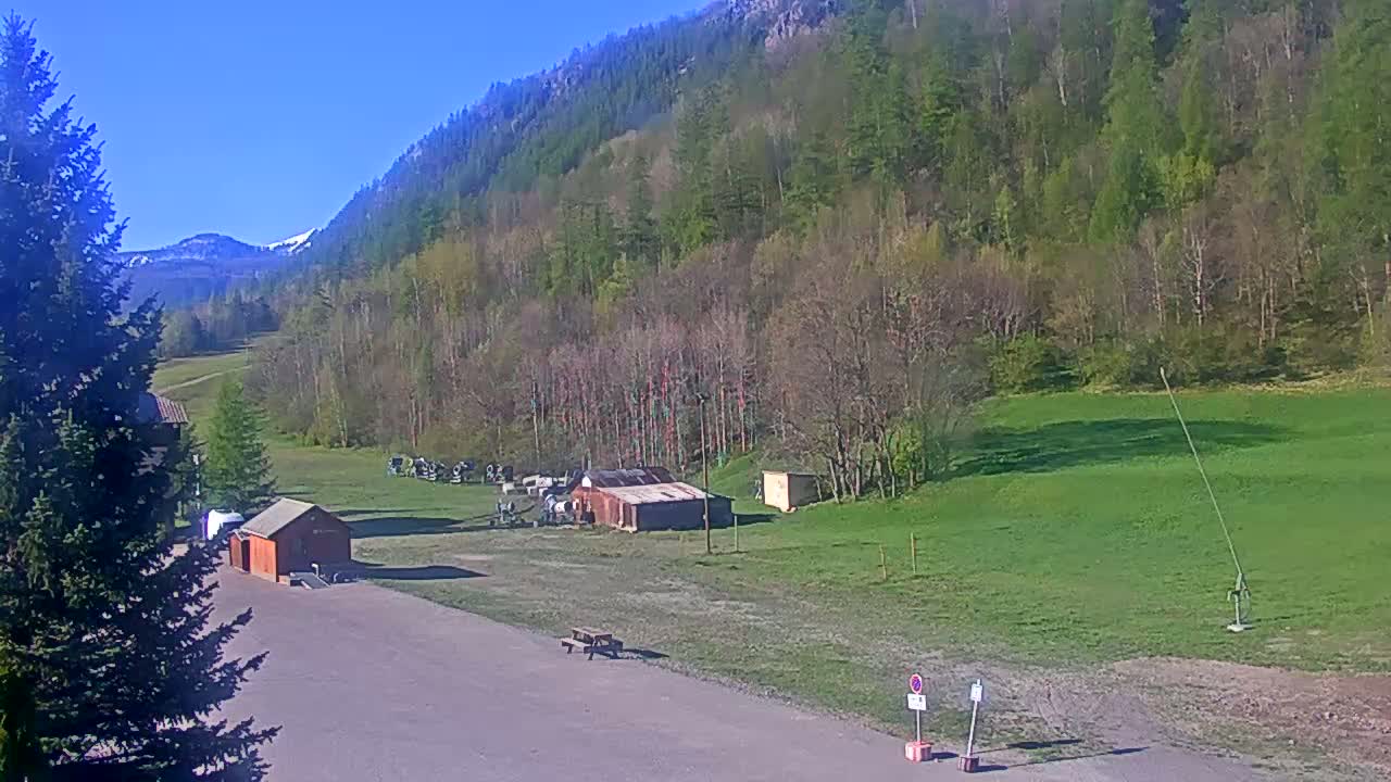 A sunny view of a grassy field with a few small buildings, some machinery, and a forested hillside in the background.
