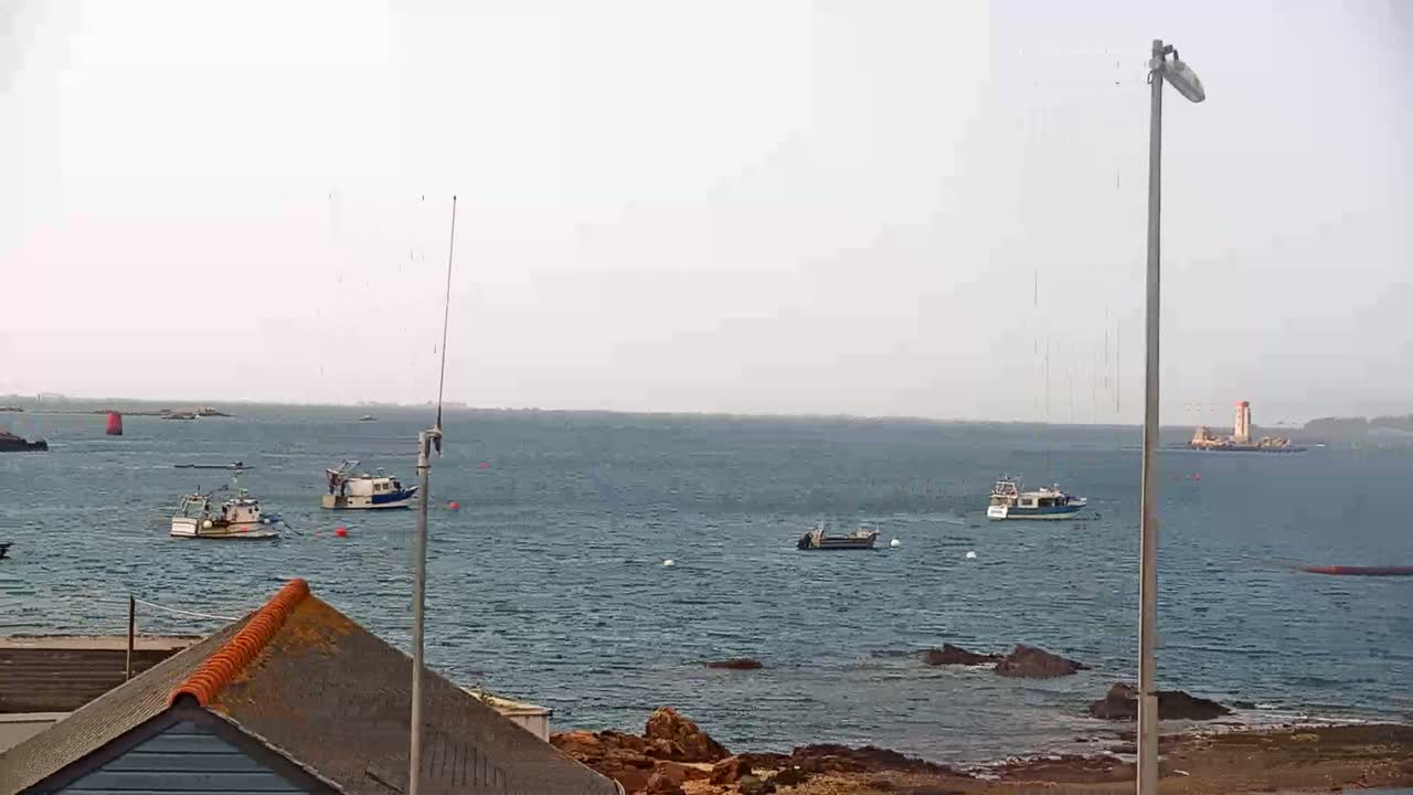 Several small fishing boats are scattered across a calm, gray sea near a rocky shoreline and a distant lighthouse.