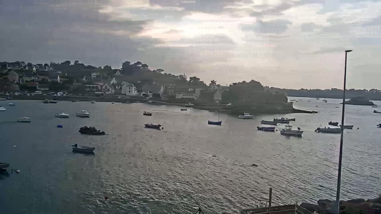 Numerous small boats are moored in a calm bay under an overcast sky, with a small village nestled on a hillside in the background.