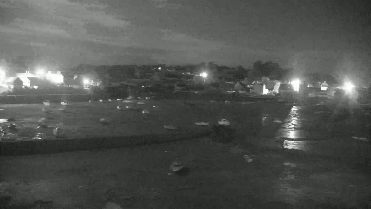 Under a partly cloudy night sky, numerous small boats are moored in a harbor near a dimly lit village.
