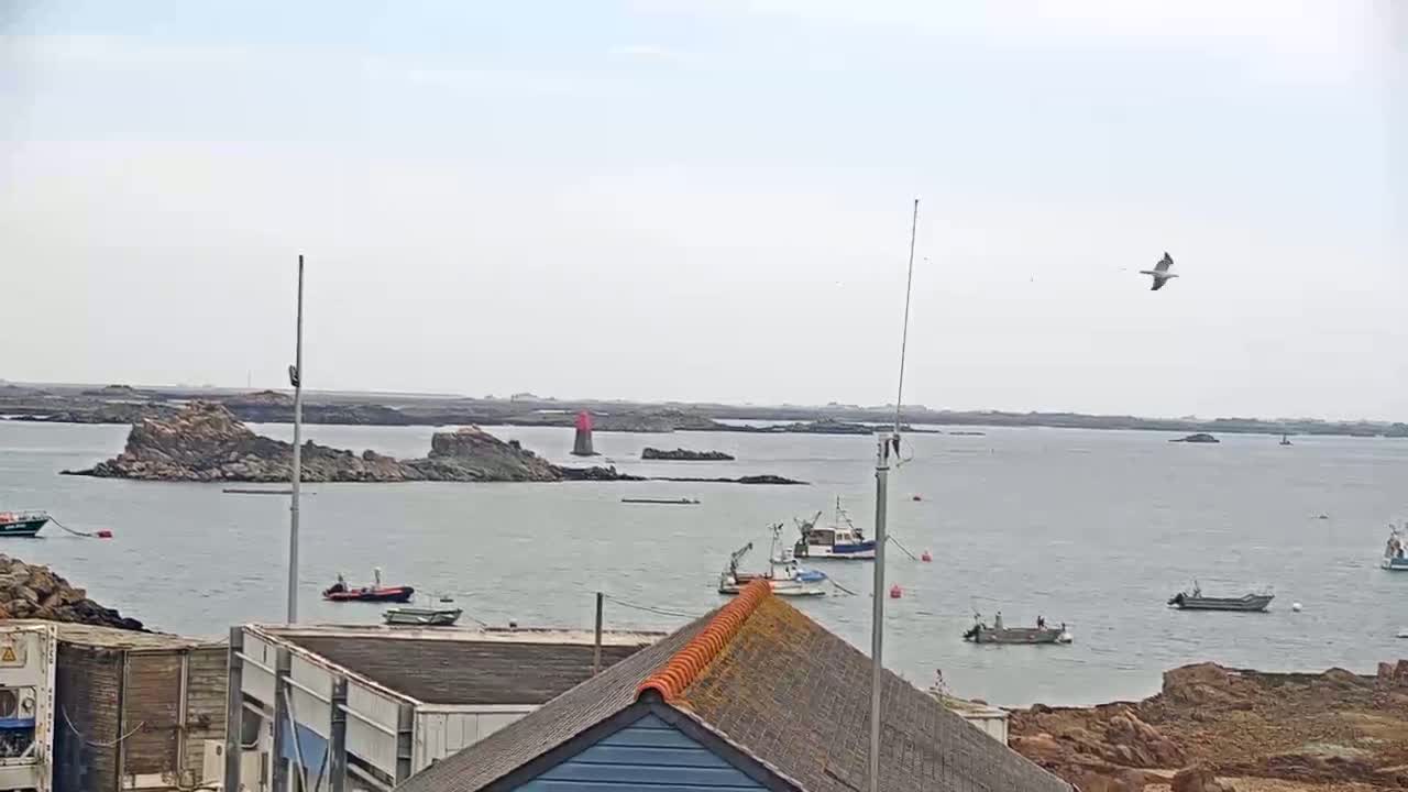 A calm, overcast day reveals a harbor scene with several small fishing boats and rocky outcroppings, a bird flying overhead.