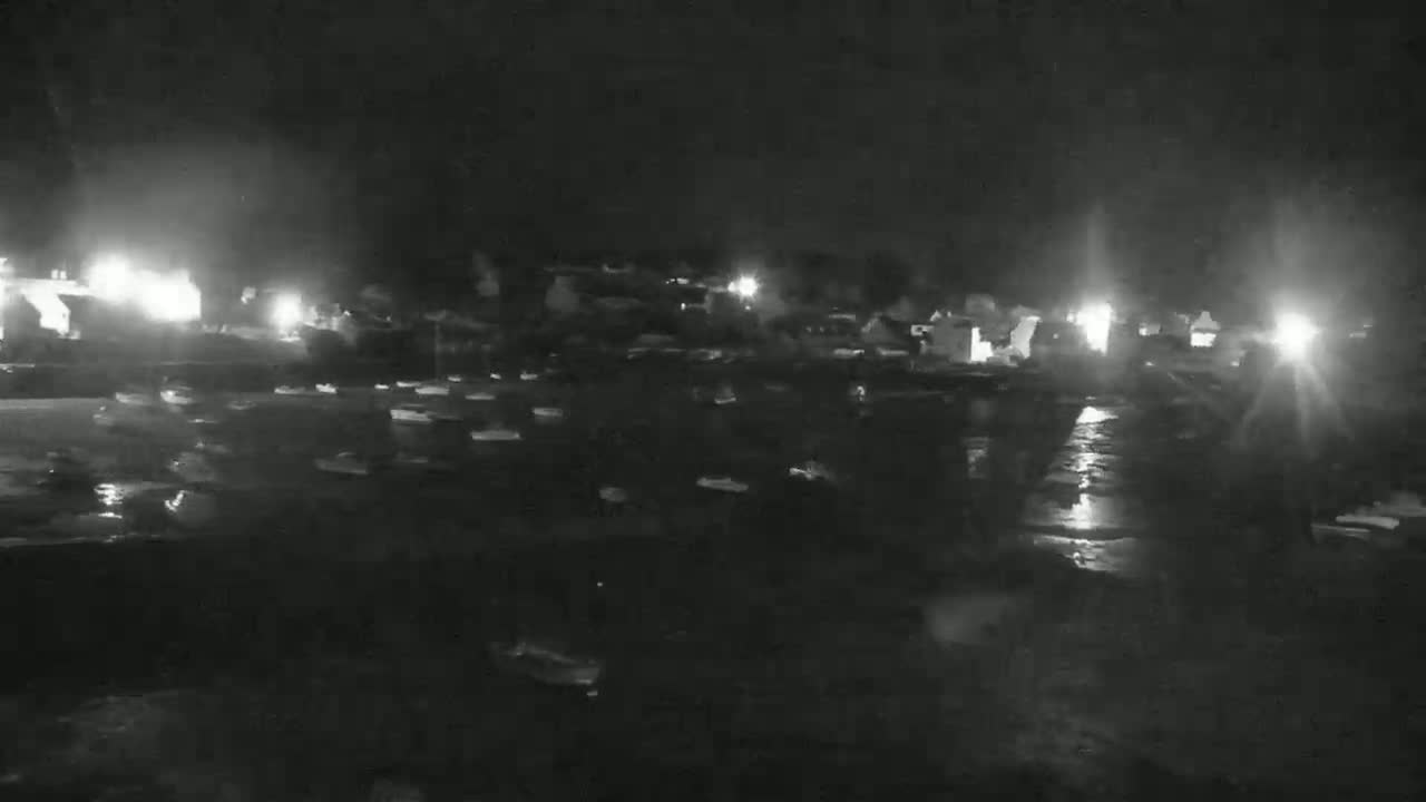 A nighttime, wet harbor scene shows numerous small boats moored under dim lighting conditions.
