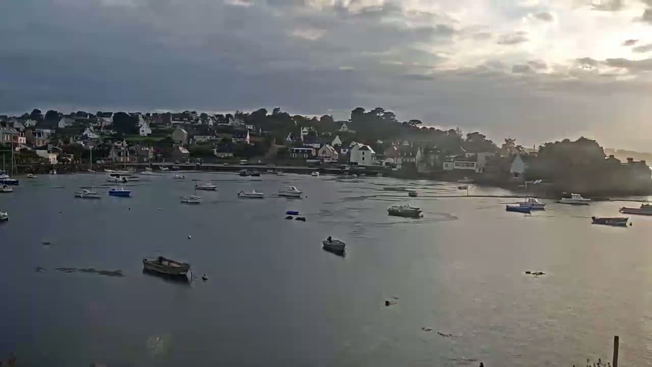 A calm harbor filled with numerous small boats is situated in front of a small town under a cloudy sky.